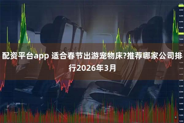 配资平台app 适合春节出游宠物床?推荐哪家公司排行2026年3月